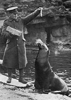 London zookeeper in uniform saying farewell to seal