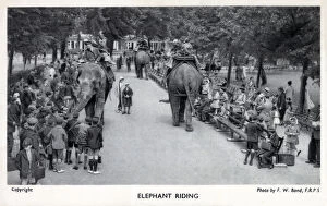 Images Dated 6th March 2020: London Zoological Gardens, Regents Park - Elephant Rides. Date: circa 1930s