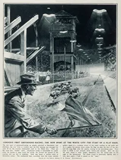 Track Prints: Londons First Greyhound Racing at White City by C. E. Turner