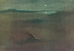 Barren Prints: The Lonely Road