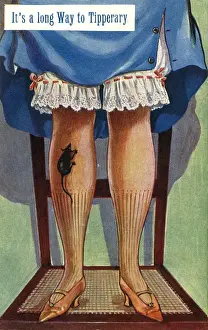 Frightened Prints: Its a long way to Tipperary - A Mouse heads up a ladys leg
