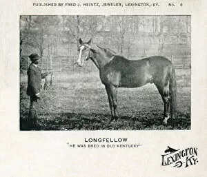 Longfellow - American Thoroughbred racehorse and sire