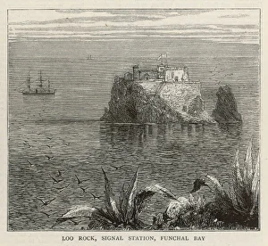 Madeira Bay