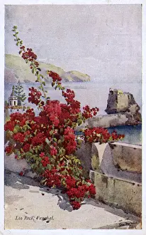 Funchal Prints: Loo Rock, Funchal, Madeira, with red flowers