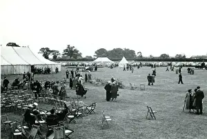 Looking Prints: Looking towards the car park and Bert Hinkler?s Ibis at ?