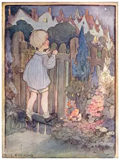 Looking over the gate
