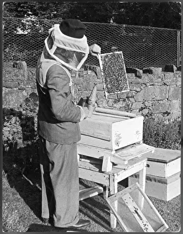 Method Collection: Looking for Queen Bee