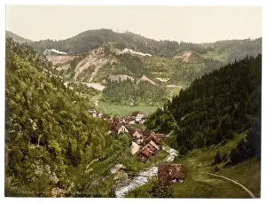 Rail Road Prints: Looking towards the railroad near Treiberg, Treiberg, Black