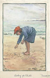 Shells Gallery: Looking for Shells. Seaside Holidays