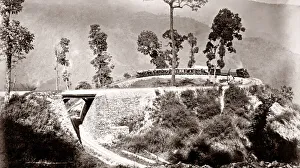 Loop Prints: Loop on the Darjeeling railway, India, c. 1880 s