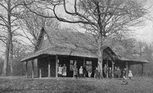 Alton Gallery: Lord Mayor Treloar Cripples Home, Alton - Forest School