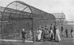 Alton Gallery: Lord Mayor Treloar Cripples Home, Alton - Aviary