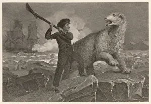 Lord Nelson / Polar Bear
