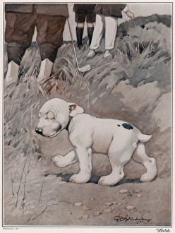 Bonzo Collection: Lost Ball by George Studdy