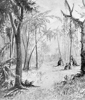 Doyle Collection: The Lost World / Doyle