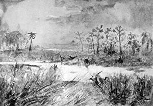 Doyle Collection: Lost World Swamp / Doyle