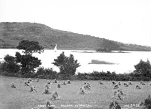 Fern Prints: Lough Fern, Milford, Co. Donegal