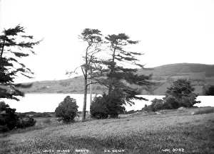 Lough Island Reavy, Co. Down