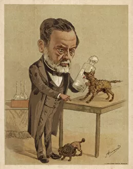 Amand Gallery: Louis Pasteur, French chemist and microbiologist