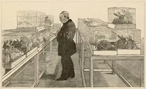 Checking Prints: Louis Pasteur / Iln 1884