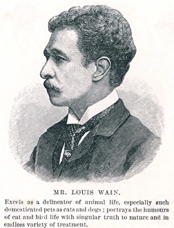 Images Dated 28th January 2011: LOUIS WAIN / 1860-1939