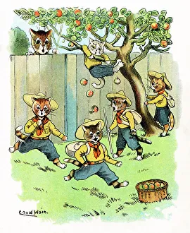 Louis Wain Cat Scouts scrumping apples in the orchard
