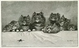 Watching Prints: Louis Wain Cats and Kittens watching a Spider