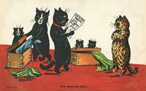 Alarmed Collection: Louis Wain Postcard - The Seaside Bill