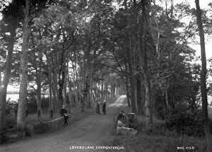 Lovers Lane, Carrickfergus