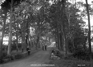 Lined Prints: Lovers Lane, Carrickfergus