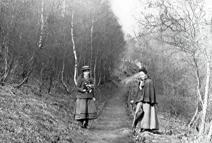 Lovers Walk, Cannock Chase, Victorian period