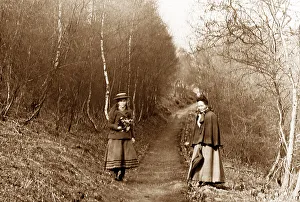 Lovers Walk, Cannock Chase, Victorian period