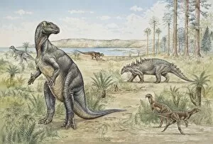 Dryomorpha Collection: Lower Cretaceous dinosaurs discovered in England