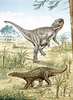 Bipedal Collection: Lower Jurassic dinosaurs discovered in England