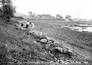 Lias Prints: Lower Lias at Barneys Point, Islandmagee, Co. Antrim