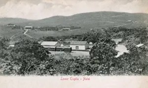 Tugela Prints: Lower Tugela, Colenso, Natal Province, South Africa