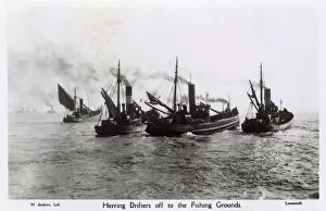 Steamers Collection: Lowestoft, Suffolk, Herring Drifters off the Fishing Grounds