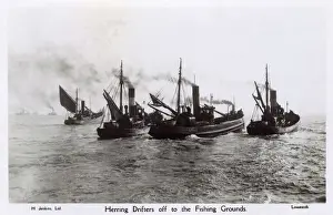 Vessels Prints: Lowestoft, Suffolk, Herring Drifters off the Fishing Grounds