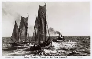 Sails Collection: Lowestoft, Suffolk - Sailing trawlers towed to Sea