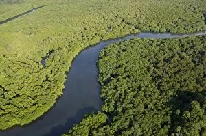 Aerials Gallery: Lowland rainforest in a river-valley near Sandakan