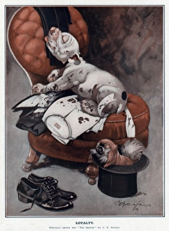Pedigree Gallery: Loyalty by George Studdy