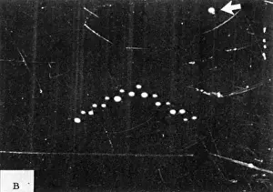 Nights Prints: Lubbuck Lights UFOs