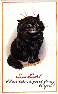 Images Dated 5th November 2019: Such Luck! Black Cat by Louis Wain