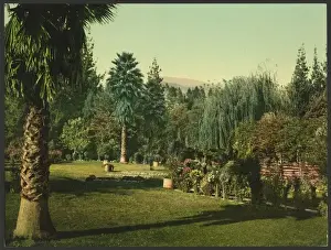Pasadena Prints: Lucky Baldwins ranch, Pasadena