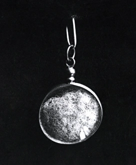 Images Dated 8th November 2011: Lucky charm mascot pendant worn during WW1