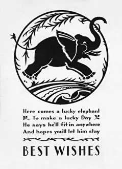 Lucky elephant