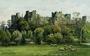Ludlow Prints: Ludlow Castle, Ludlow, Shropshire, viewed from the meadows