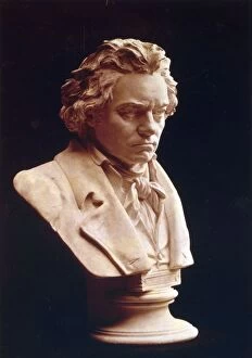 Ludwig Collection: Ludwig van Beethoven - studied from the death mask i. e. life