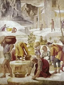 Alla Gallery: LUINI, Bernardino (1480-1532). The Gathering
