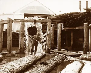 Lumber Mill Washington USA early 1900s
